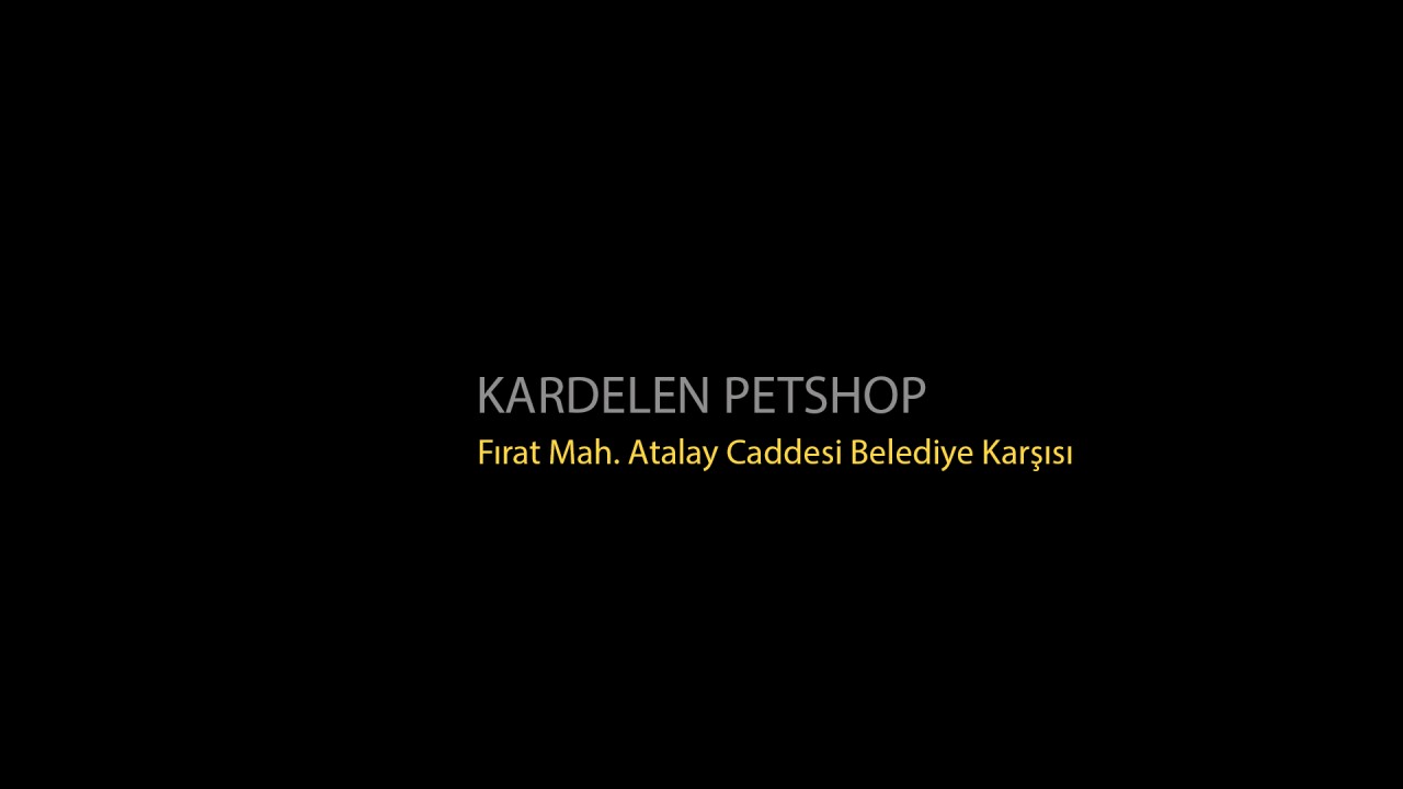 Kardelen Petshop Merkez