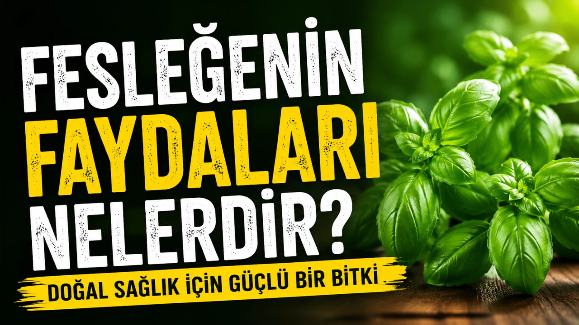 Fesleğenin Faydaları Nelerdir? Doğal Sağlık İçin Güçlü Bir Bitki