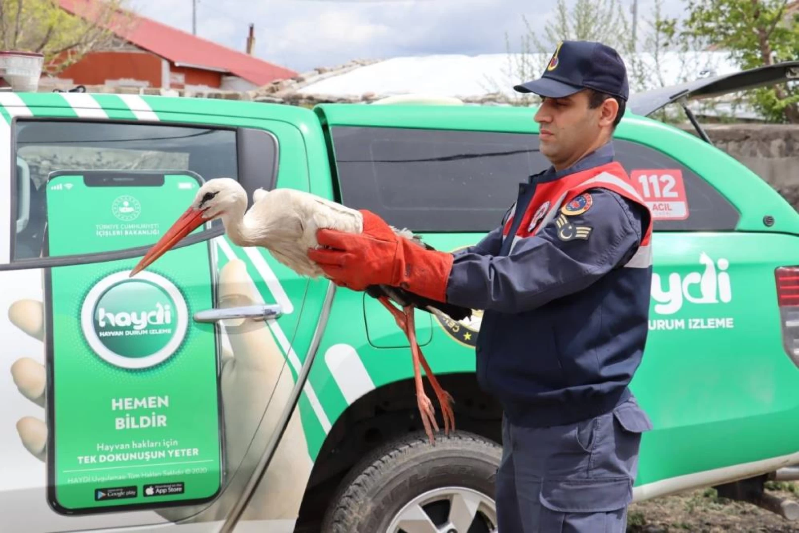 Ağrı’da yaralı halde bulunan leylek tedavi altına alındı