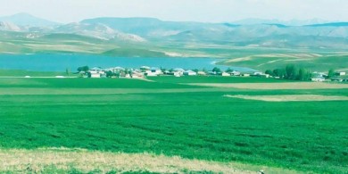 Dolutaş(Mardo) Eleşkirt