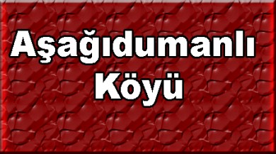 Aşağıdumanlı ( Geldüşajere ) Taşlıçay