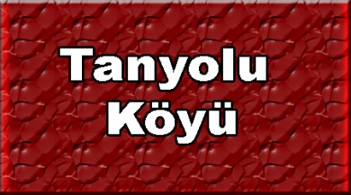 Tanyolu ( Qızılziyaret ) Taşlıçay