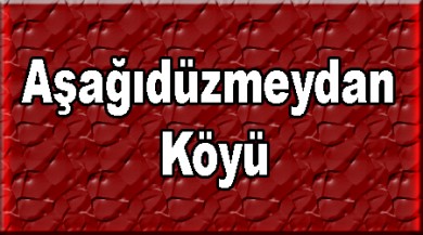 Aşağıdüzmeydan ( Dızmeydanazere ) Taşlıçay