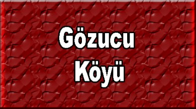 Gözucu