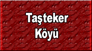 Taşteker ( Der ) Taşlıçay