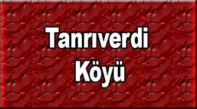 Tanrıverdi ( Mollaxwededa ) Taşlıçay