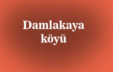 Damlakaya ( Meter ) Tutak