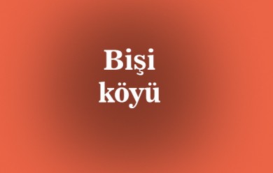 Bişi (Tutak)